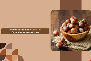 TÜRKİYE FINDIK İHRACATININ ÜÇTE BİRİ TRABZON'DAN